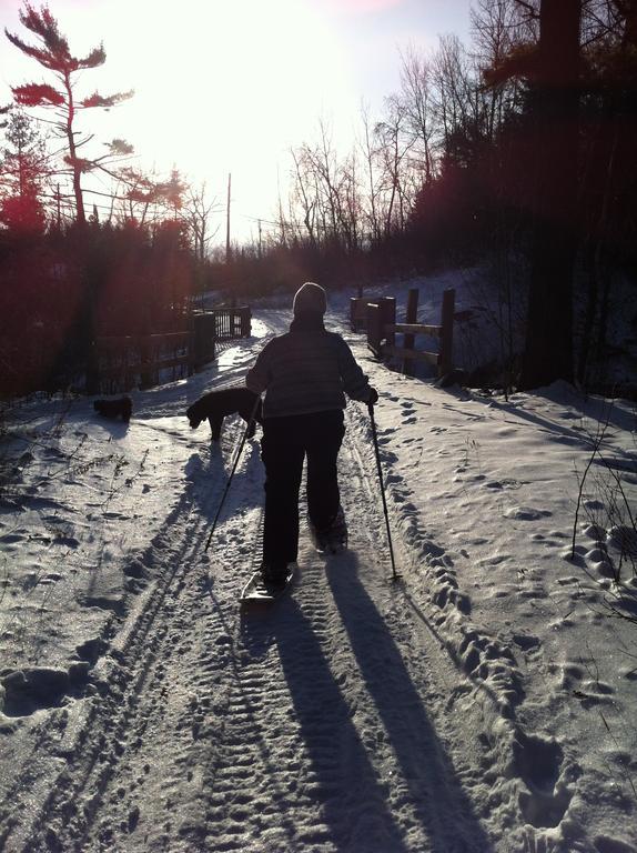 Lake Lauzon Resort Blind River Buitenkant foto